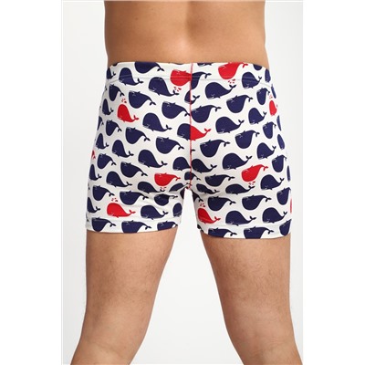 Трусы 74401 НАТАЛИ, 1235485