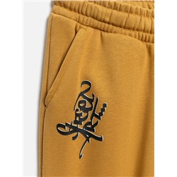 Acoola Брюки 20110460113