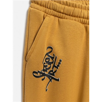 Acoola Брюки 20110460113