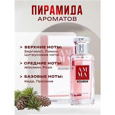 Туалетная вода женская Amazing Rose, 100 мл