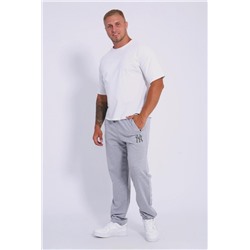 Брюки 035 (Серый меланж)