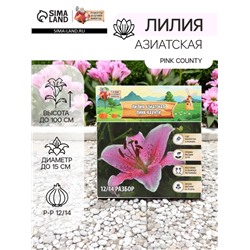 Лилия Азиатская Pink County, луковица в пакете с перфорацией, р-р 12/14, 3 шт.