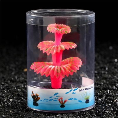 Декор для аквариума «Коралл на платформе» силиконовый, 5×5×8 см, розовый