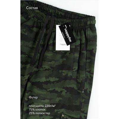 Мужские брюки из футера двухнитки Happyfox