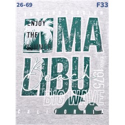 Футболка F33 серый