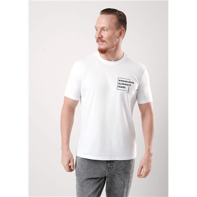 Футболка мужская