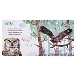 Книжка с окошками "Кто где живет?"