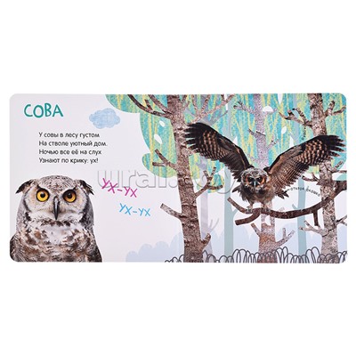 Книжка с окошками "Кто где живет?"