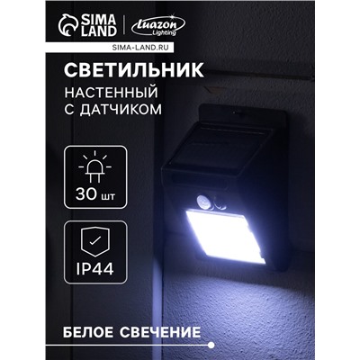 Садовый светильник, уличный, на солнечной батарее с датчиком движения, накладной, 30 LED, свечение белое