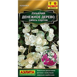 1611A Лунария Денежное дерево, смесь сортов 0,3 г