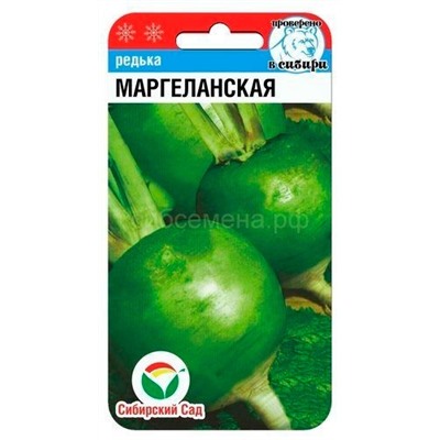 Редька Маргеланская (Сиб сад)
