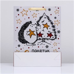 Пакет подарочный новогодний ламинированный вертикальный «Пакетик счастья», 33×42×10 см