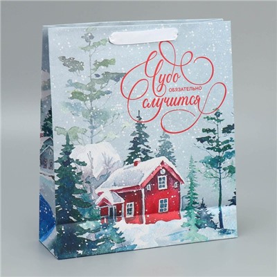 Пакет подарочный новогодний крафтовый «Чудеса случаются», M 26×30×9 см
