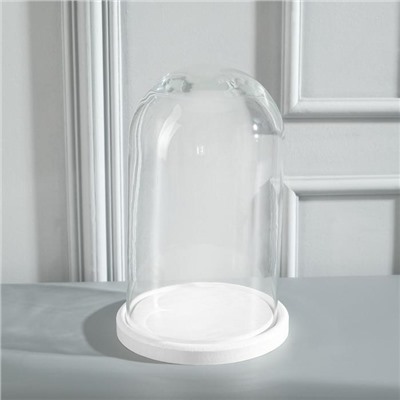 Стеклянный купол-клош на деревянной подставке «Венсан», 25×15 см, белый