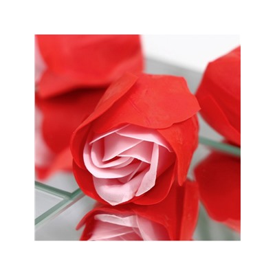 Мыльные розочки, красно-розовые, набор 24 шт.