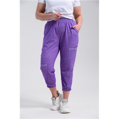 Брюки 9139 (Сиреневый)