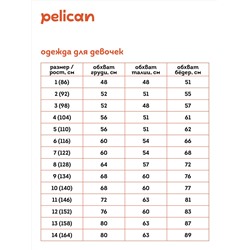 PELICAN Майка
