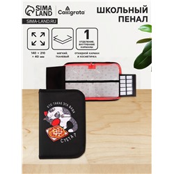 Пенал школьный, 1 секция, 14×21×4 см «Кот суета»