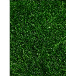 Газон искусственный, для спорта, ворс 40 мм, 2×10 м, зелёный, Greengo