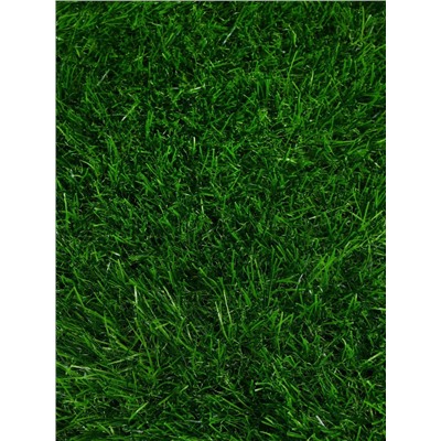 Газон искусственный, для спорта, ворс 40 мм, 2×10 м, зелёный, Greengo