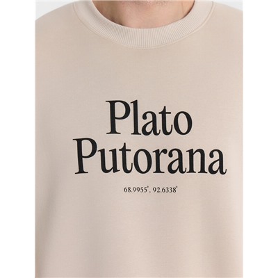 СВИТШОТ МУЖСКОЙ 121866/1