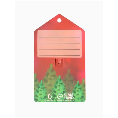 Брошь новогодняя «Снежинка» малая, радужная в серебре