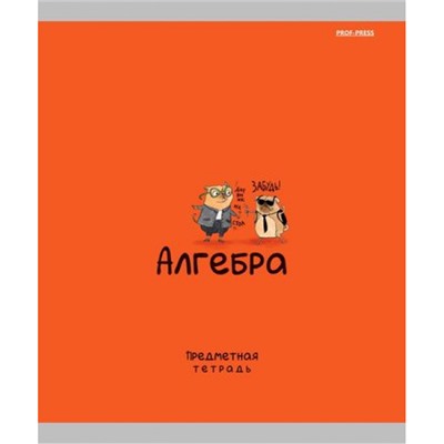 Тетрадь 48л "MINI FRIENDS" по алгебре 48-2503 Проф-Пресс
