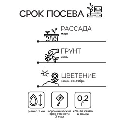 Семена цветов книфофия «Сюрприз», Евро, 0.2 г