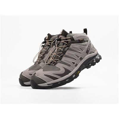 Зимние Кроссовки Salomon XA PRO 3D Mid