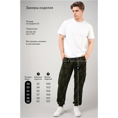 Мужские брюки из футера двухнитки Happyfox