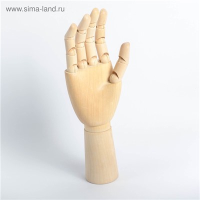 Модель деревянная художественная Манекен «Рука мужская правая» 31 см