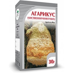 Агарикус (лиственничная губка)