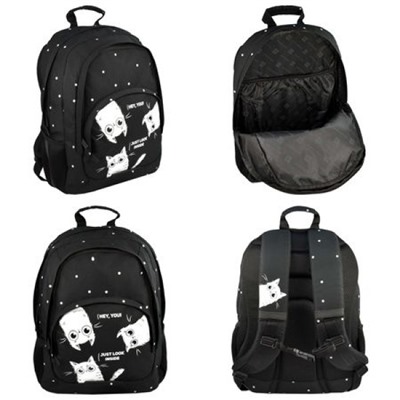 Рюкзак школьный 68245 "ТРИ КОТА" 33х43х13,5 см Феникс