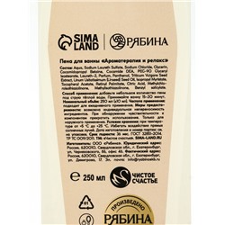 Подарочный набор «Дорогому учителю», гель для душа 250 мл, пена для ванны 250 мл, Чистое счастье