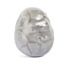 Раскопки коробка IQ