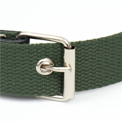 Ошейник брезентовый однослойный, 66×3 см, ОШ 33-60 см, тёмно-зелёный
