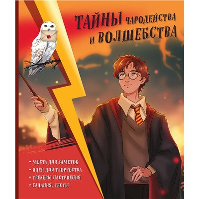 Эксмо Хохлова В.А., Пиданова А.П., Петрунина Ю. "Тайны чародейства и волшебства. Книга творчества и вдохновения (Гарри)"