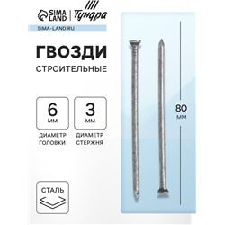 Гвозди ТУНДРА, строительные, ГОСТ 4028-63, без покрытия, 3×80 мм, 5 кг