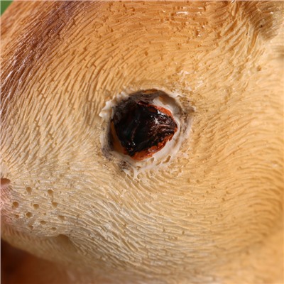 Фигурка полистоун TAKE IT EASY «Семья зайцев», 11×15×23 см