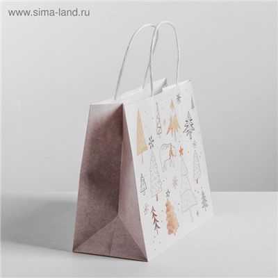 Пакет подарочный новогодний крафт «С Новым годом», 25×22×12 см