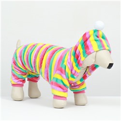 Комбинезон «Радуга» с капюшоном, размер 2XL (ДС 45 см, ОШ 45 см, ОГ 55 см)