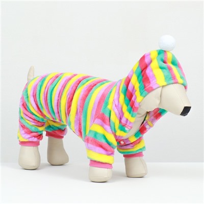 Комбинезон «Радуга» с капюшоном, размер 2XL (ДС 45 см, ОШ 45 см, ОГ 55 см)