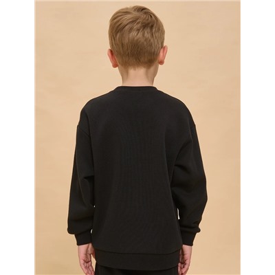 PELICAN Толстовка BFN3362