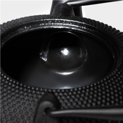 Чайник Доляна «Восточная ночь», 1.6 л, с ситом, индукция, чугун, чёрный