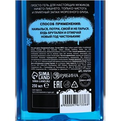 Новогодний подарочный набор косметики «Классного Нового года», гель для душа 250 мл и мочалка для тела, Чистое счастье, 18+