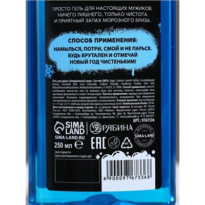 Новогодний подарочный набор косметики «Классного Нового года», гель для душа 250 мл и мочалка для тела, Чистое счастье, 18+