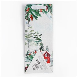 Пакет новогодний подарочный под бутылку, треугольный «Чудо», 13×32×11 см