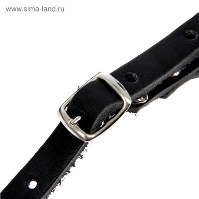 Намордник кожаный №4, сетчатый, с перемычкой, ротвейлер, длина по носу 9 см, обхват морды 34 см