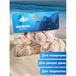 Набор ракушек, 4 - 5 см, 100 г