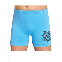 Трусы для мальчика Berrak